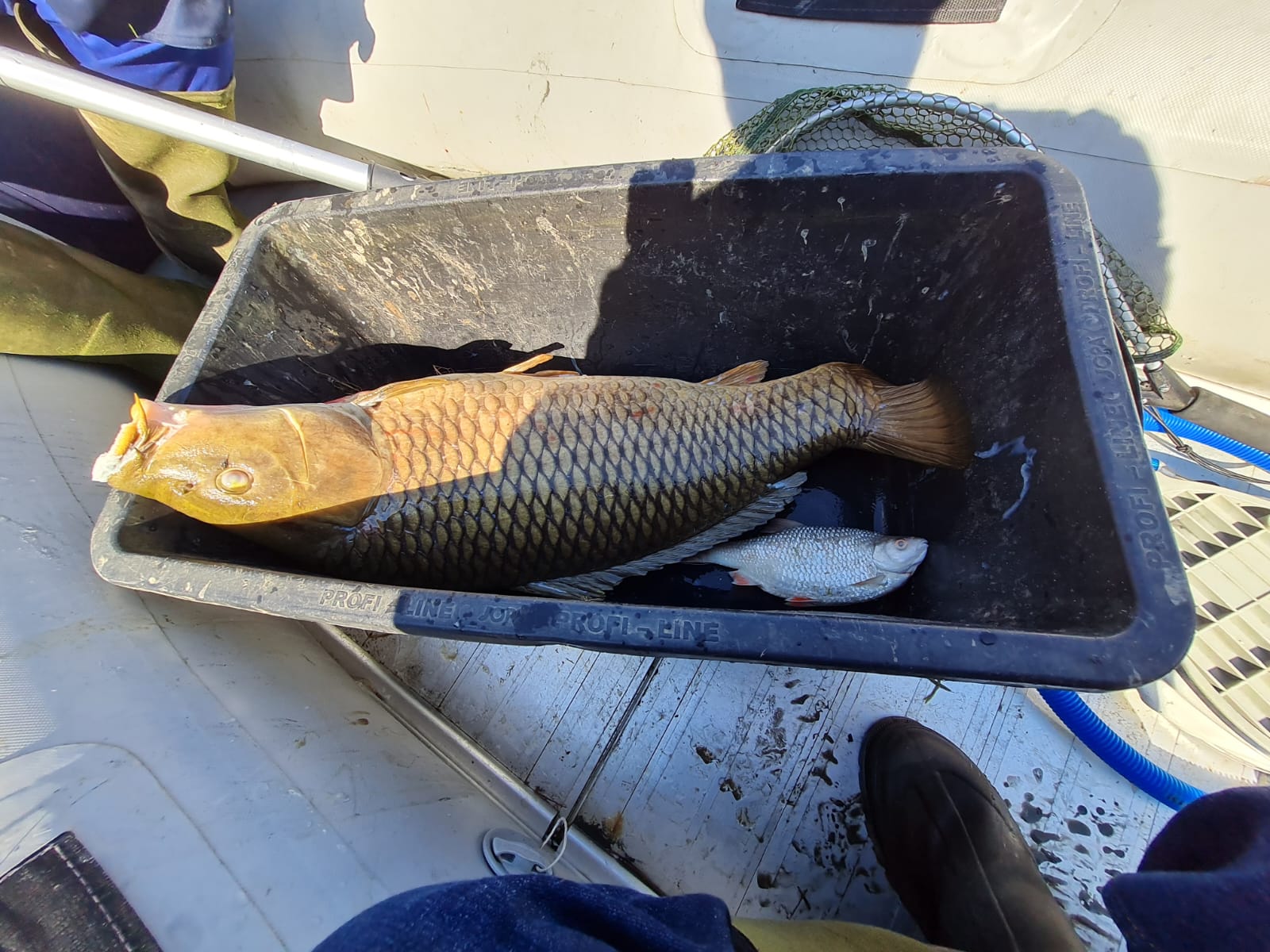 Sauerstoffmangel 2023